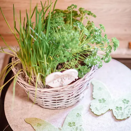 Simons Blockhuette By Interhome Grobming