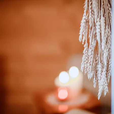 Dağ evi Simons Blockhuette By Interhome