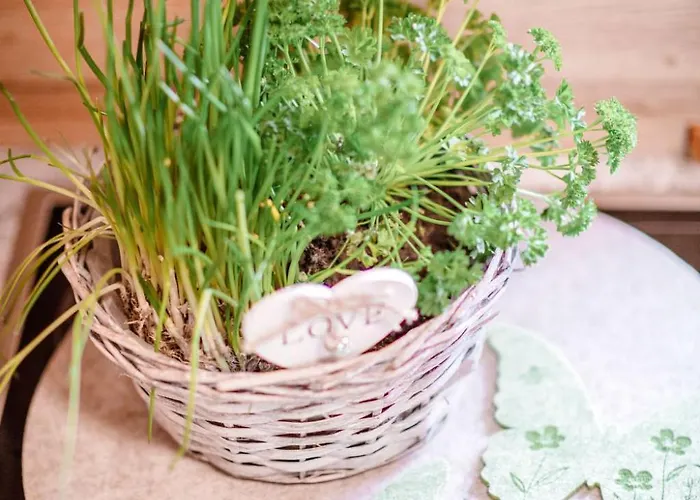 Simons Blockhuette By Interhome Grobming